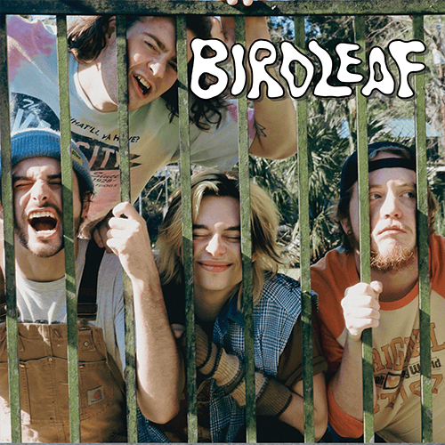 Birdleaf Band photo